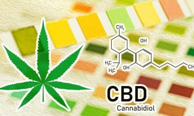 CBD Cannabidiol