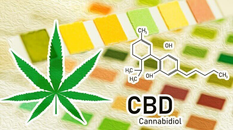 CBD Cannabidiol