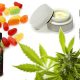 Trends in CBD Products