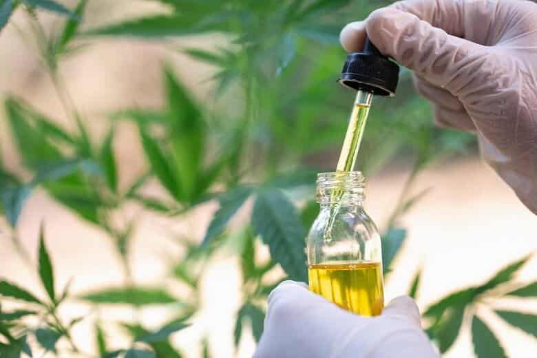 Carrier oil for CBD