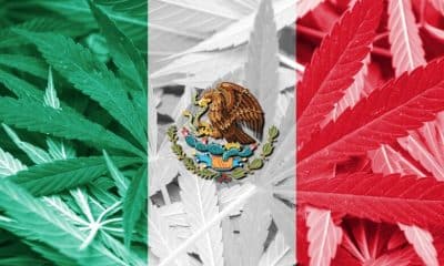 Mexico Cannabis Bill
