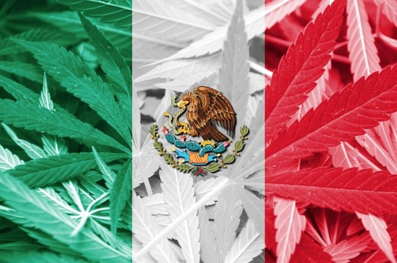 Mexico Cannabis Bill