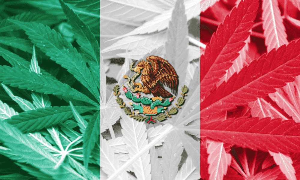 Mexico Passes Recreational Cannabis Bill
