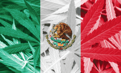 Mexico Passes Recreational Cannabis Bill