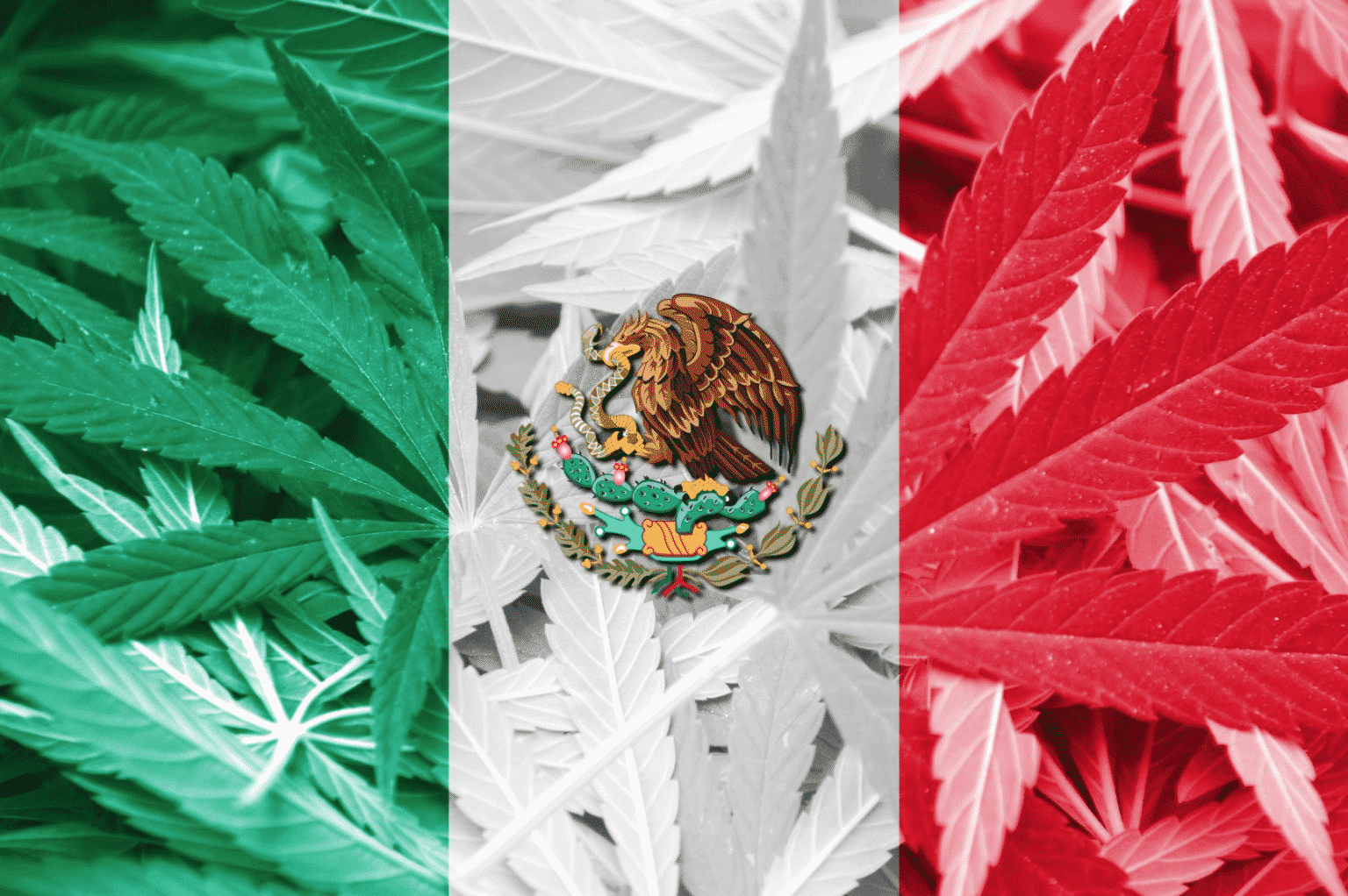 Mexico Passes Recreational Cannabis Bill