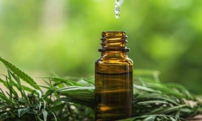 CBD Oil Can Be Used to Treat Seizures; Experienced in California