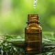 CBD Oil Can Be Used to Treat Seizures; Experienced in California