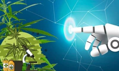 Artificial Intelligence for Cannabis Industry