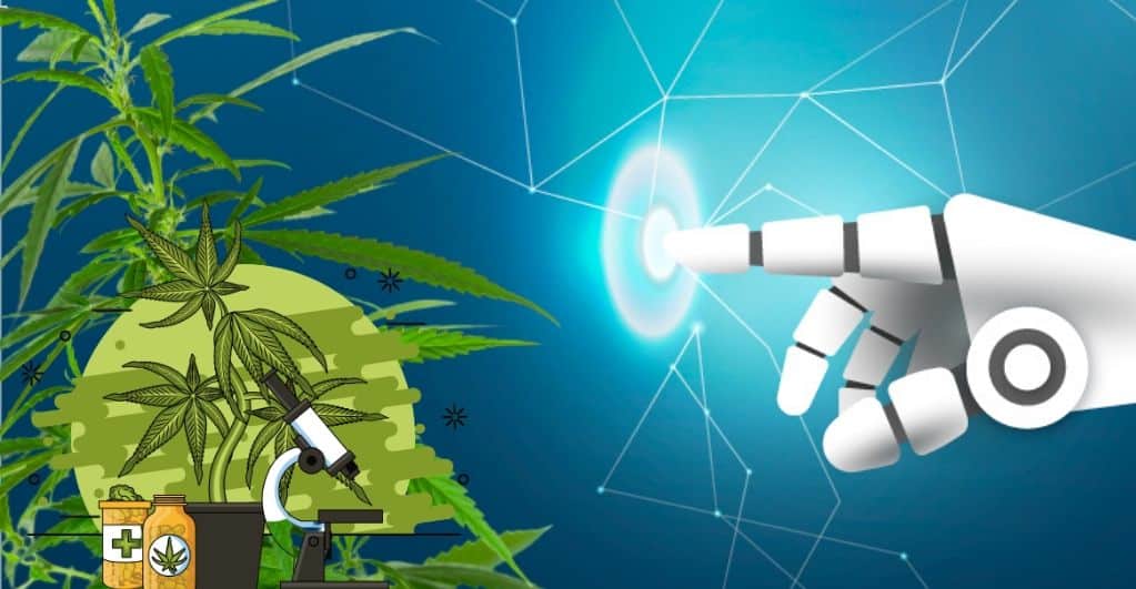 Artificial Intelligence for Cannabis Industry